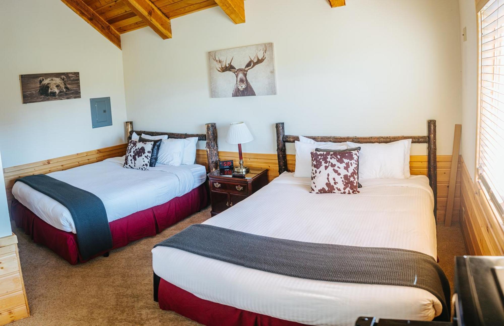 River Lodge Айленд-Парк Номер фото
